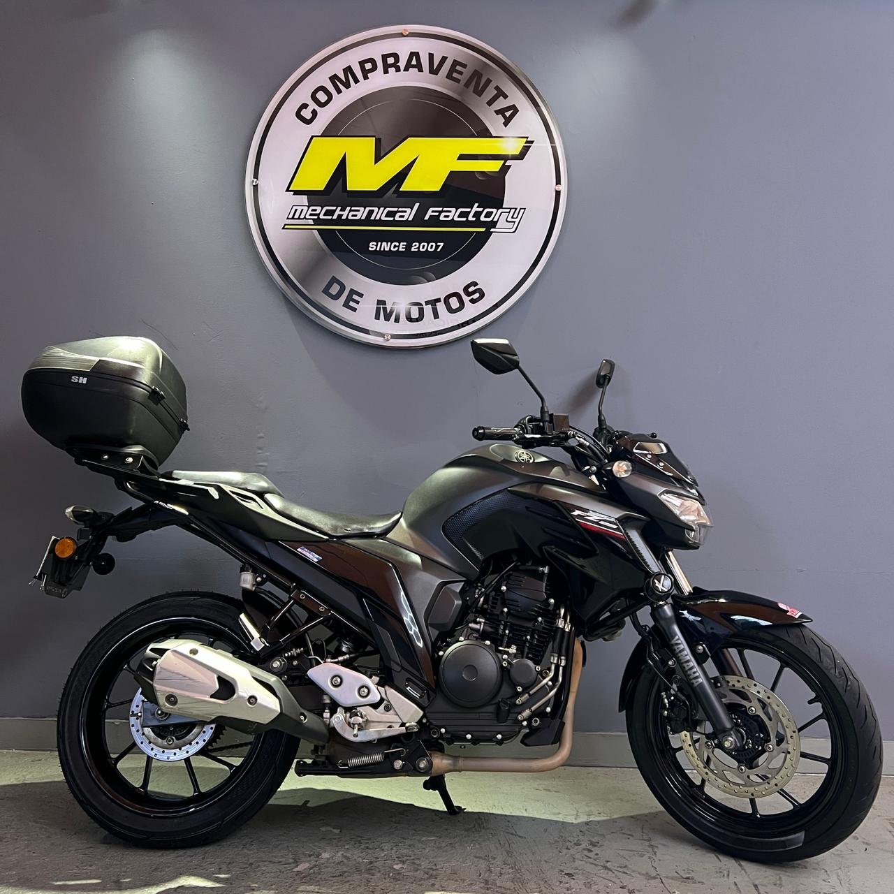 Yamaha FZ 250 ABS