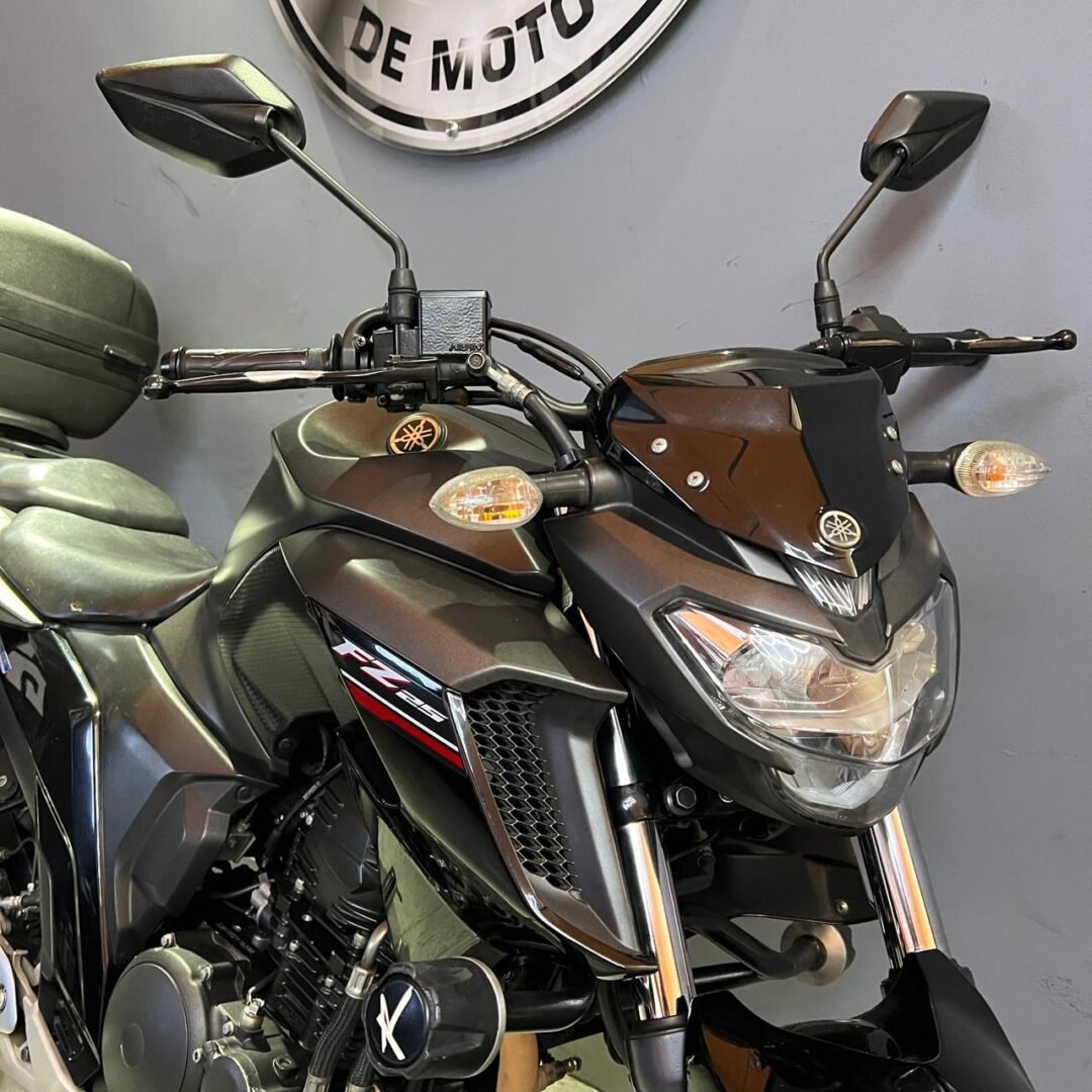 Yamaha FZ 250 ABS