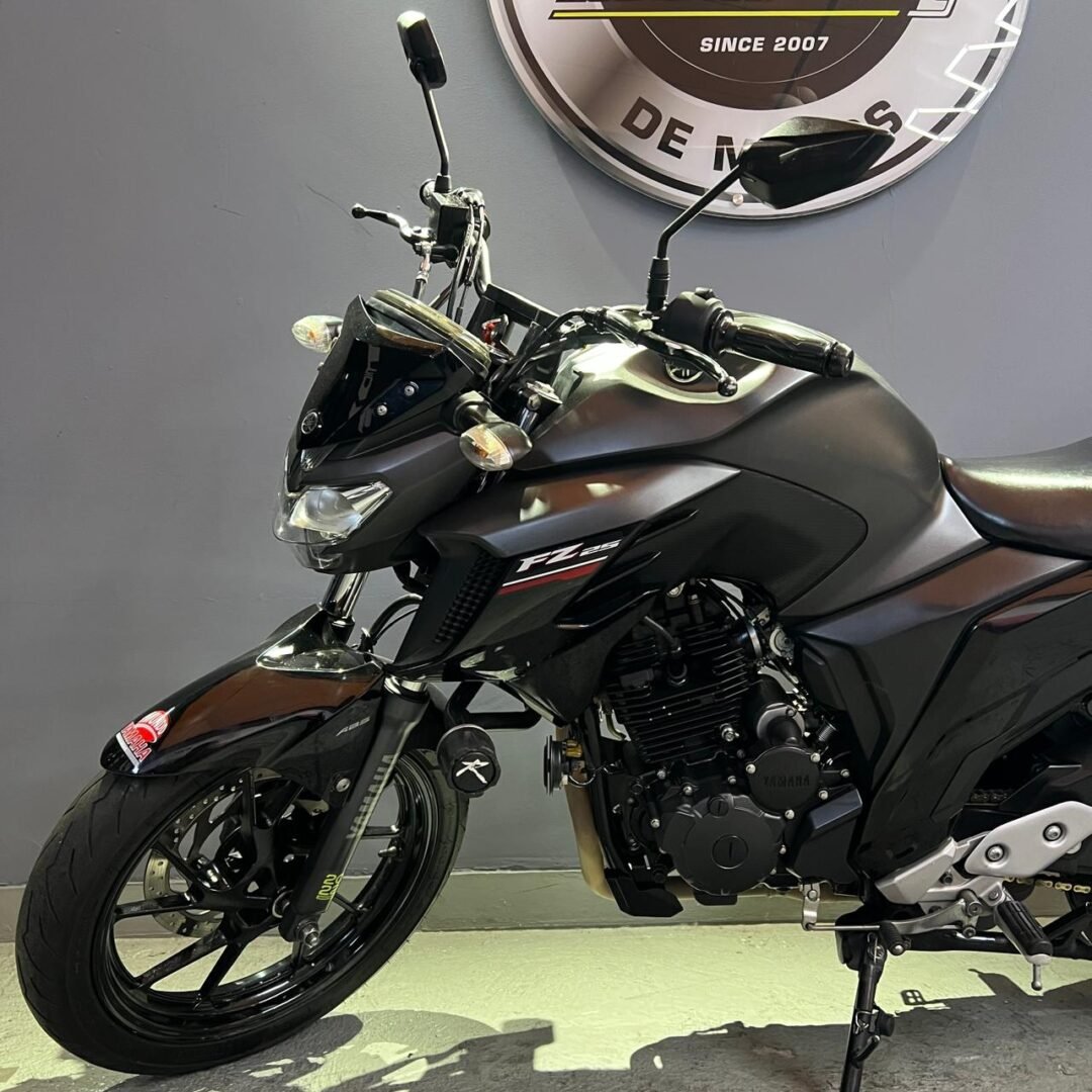 Yamaha FZ 250 ABS