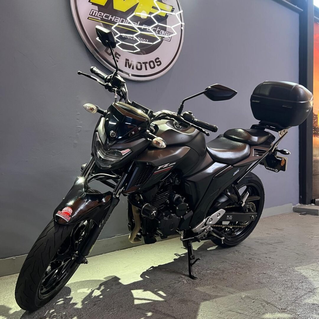 Yamaha FZ 250 ABS