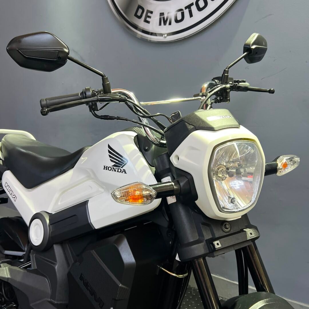 Honda Navi 110