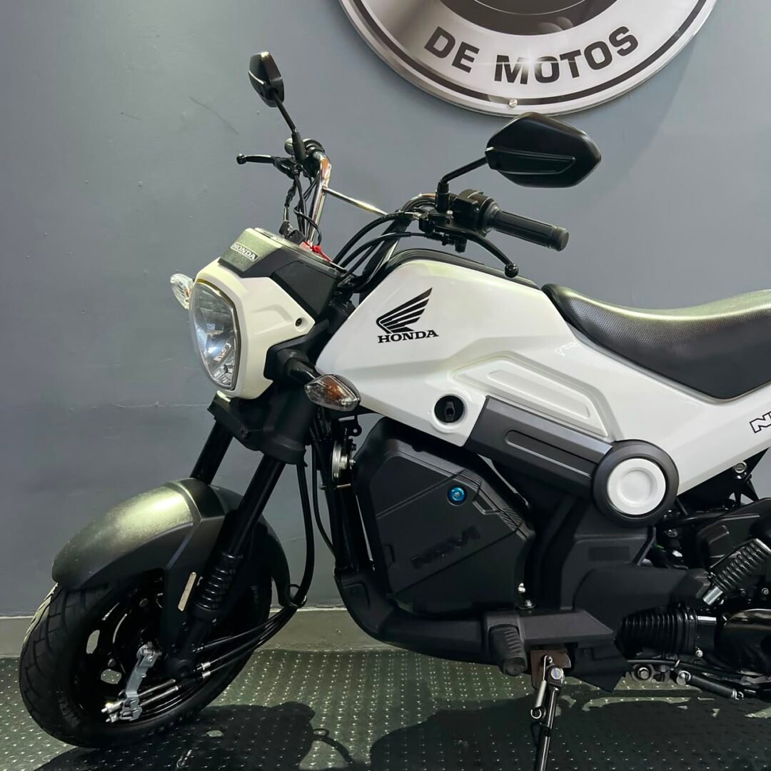 Honda Navi 110